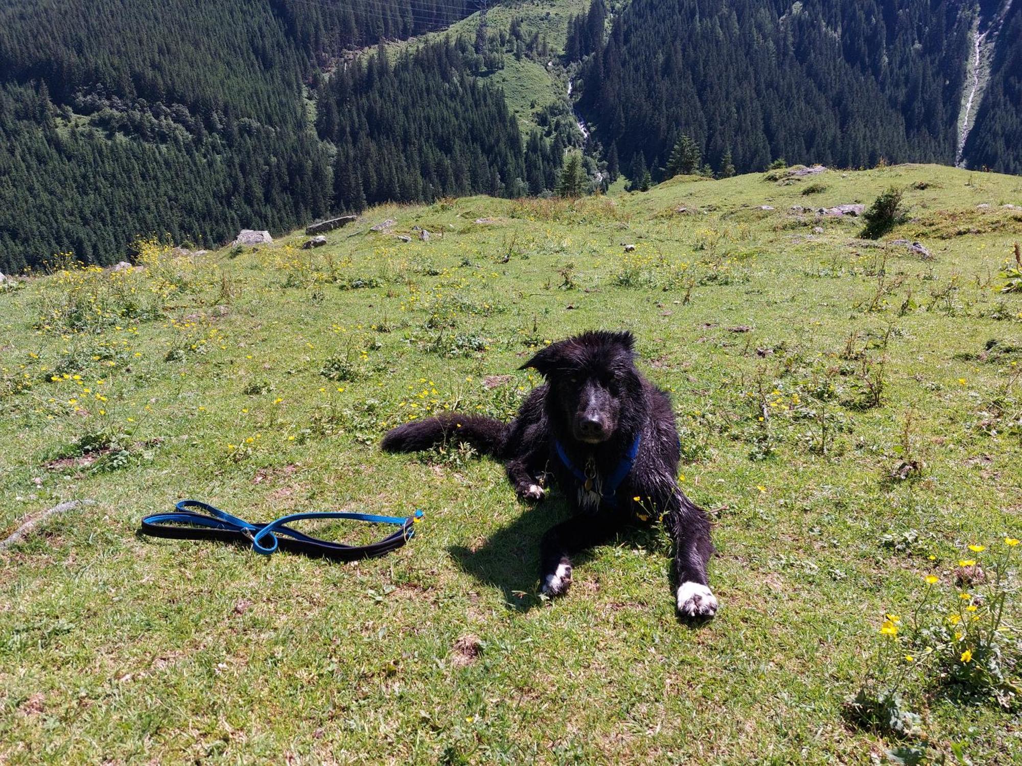 Fasserhof Bramberg am Wildkogel Zewnętrze zdjęcie