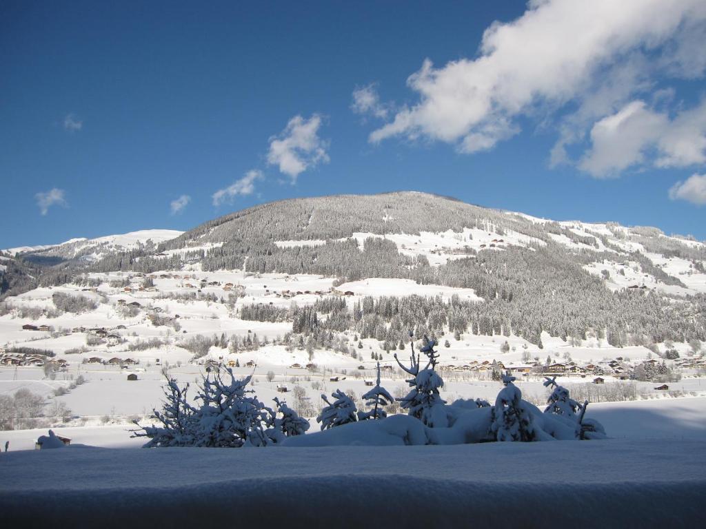 Fasserhof Bramberg am Wildkogel Pokój zdjęcie