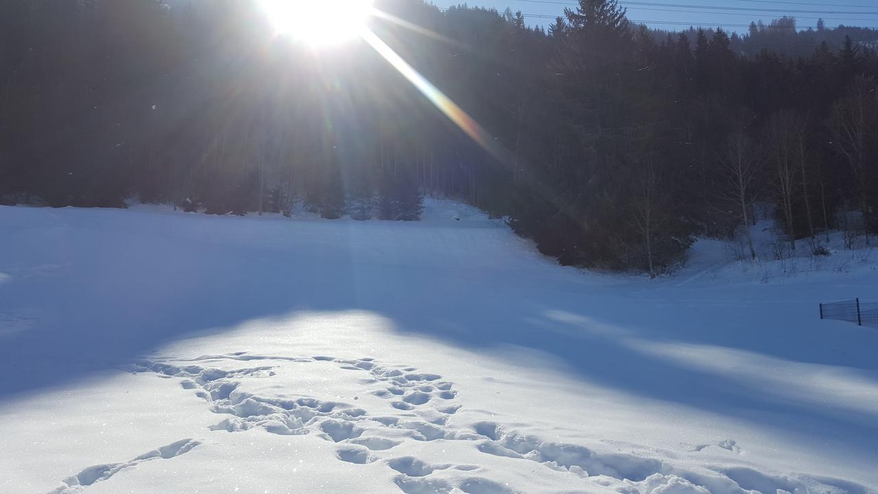 Fasserhof Bramberg am Wildkogel Zewnętrze zdjęcie